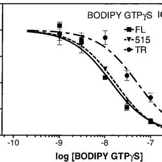 Association And Dissociation Of BODIPY FL GTP Analogs With G O