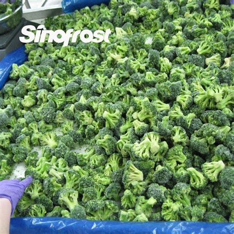 SINOFROST Brc Sedex Halal Certified IQF Frozen Broccoli Wholesale