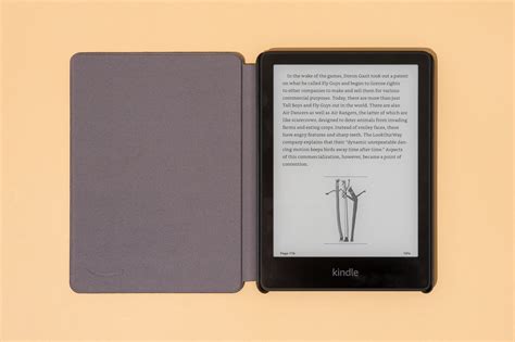 The 2 Best Ebook Readers for 2023 | Reviews by Wirecutter