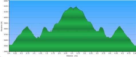 Carvers Gap to Grassy Ridge Bald on Roan Mountain