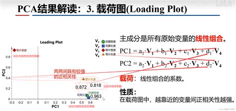 PCA分析主成分分析 结果解读 主成分分析结果怎么看 CSDN博客