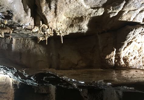 Are Dogs Allowed At Maribel Caves