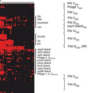 Distribution of UPEC strain 536 and CFT073-specific genes among 125 ... 
