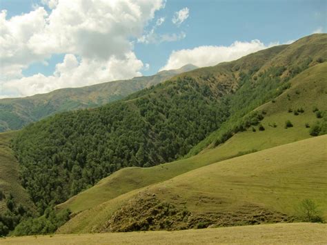 Andean Mountain Forests & Valleys (NT11) | One Earth