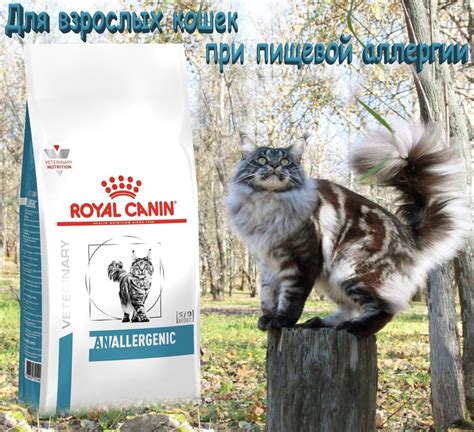 Сухой корм для кошек Royal Canin Anallergenic Feline 2 кг - купить с ...