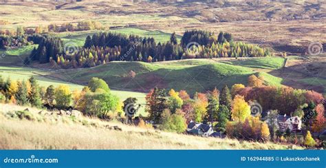 Autumn Landscape in Perthshire, Scotland | Colourful Trees and Heather ...