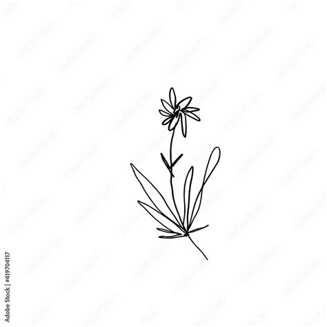 Flower Line Illustration Black And White Vector Image Stock Vector