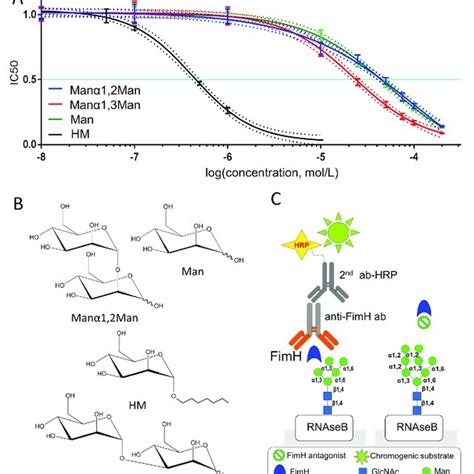 Ic Measurements Of Different Mannosides Towards Their Ability To