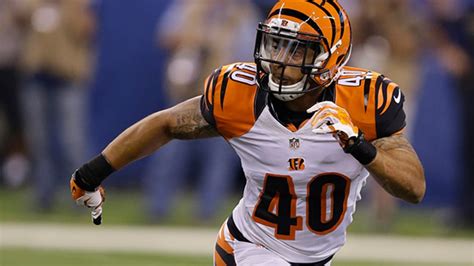 Bengals defense dominates pre-season finale