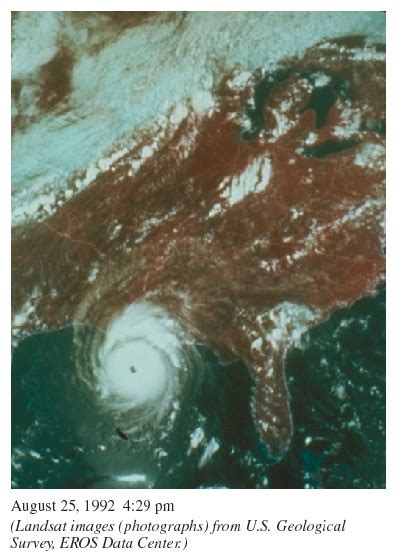 Effects Of Hurricane Andrew 1992 On Wetlands