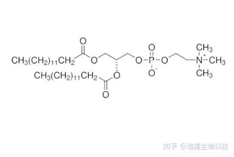 Dmpc Peg Cdseznsgqdsbpqdscspbbr3sic 二肉豆蔻酰磷脂酰胆碱 聚乙二醇 量子点 知乎