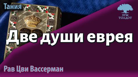 Две души еврея, или чужая душа — потёмки. Рав Цви Вассерман - YouTube