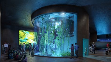 El Nuevo Acuario De Mazatl N El M S Grande De Latinoam Rica L Nea