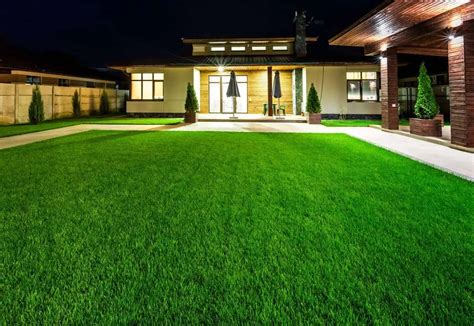 Understanding the Different Varieties of Sod | Tampa Sod Farm