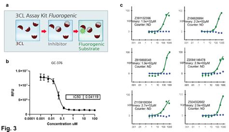 In Vitro Assay Setup And Results A Schematic Of The Assay System