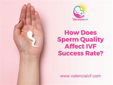 How Does Sperm Quality Affect Ivf Success Rate Valencia Ivf