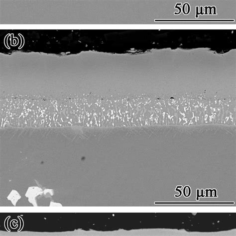 Cross Sectional Morphologies Of The Coating Specimens With Different