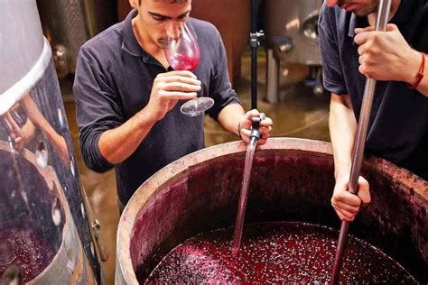 ultimate guide   perfect jobs   wine industry