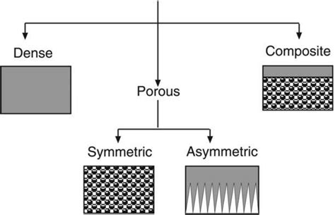 Membrane classification according to structure morphology [4] | Download Scientific Diagram