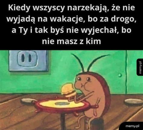 Wakacje Memy Pl