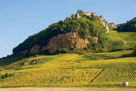 Discover France's Lesser-Known, Value Pinot Noir Regions | France, France photos, Pinot noir