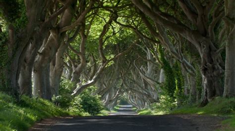 Two Day Tour to Belfast City, Game of Thrones & The Giant's Causeway from Dublin - Railtours ...