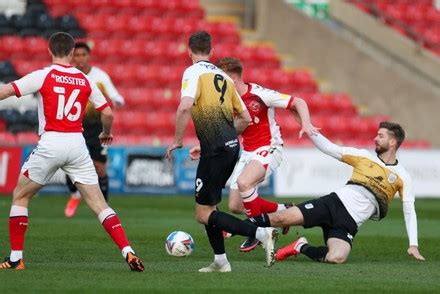 Crewe Alexandra Players Inspect Pitch During Editorial Stock Photo - Stock Image | Shutterstock