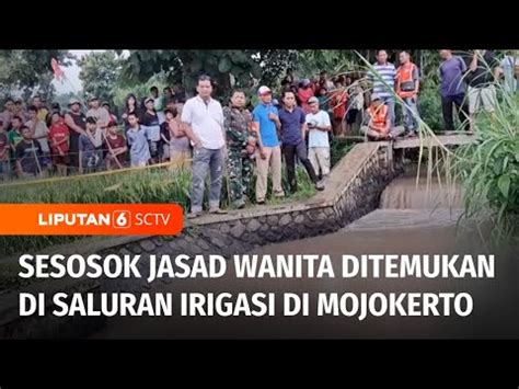 Jasad Perempuan Ditemukan Dalam Kondisi Telanjang Di Persawahan Di