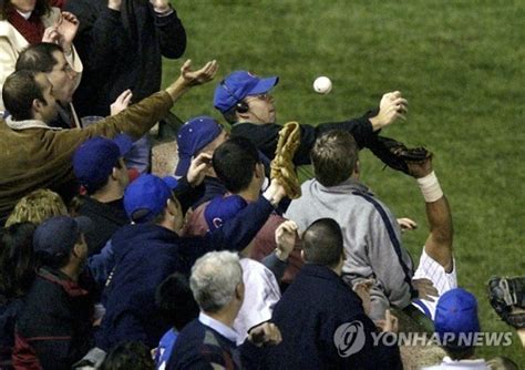 시카고 컵스 저주 주인공에 월드시리즈 우승반지 선물 세계일보