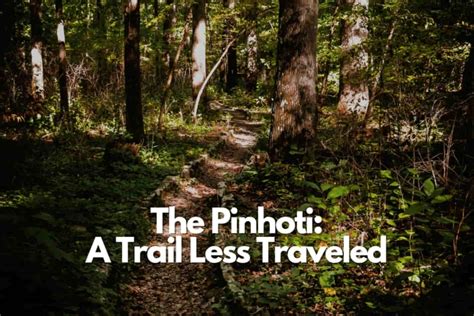 The Pinhoti Trail Your Complete Guide To Alabama S Hidden Gem Thru Hike