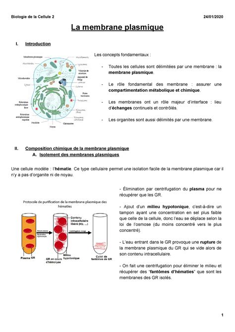 La Membrane Plasmique L Sdv S La Membrane Plasmique I