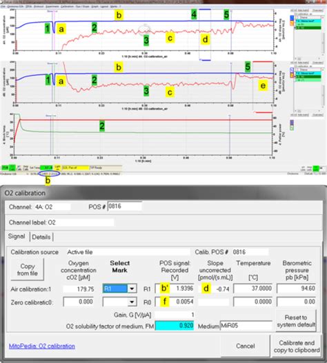 Oxygen sensor test - Bioblast