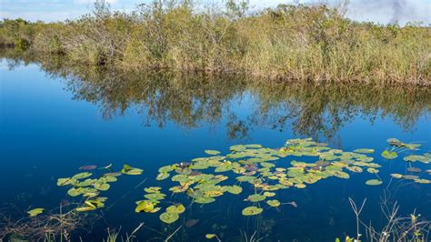 The 10 Best National Parks for Wildlife Enthusiasts