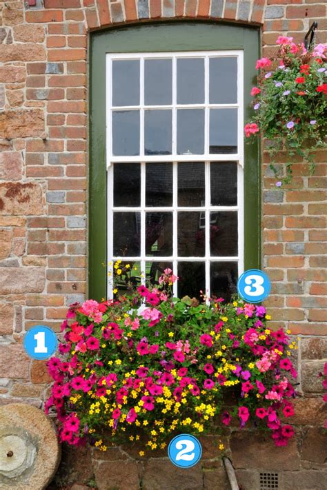 15 Simply Stunning Summer Window Boxes Hgtv