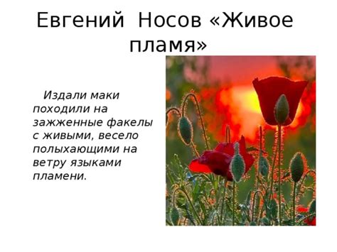 Е и носов живое пламя: «Живое пламя» за 2 минуты. Краткое содержание ...