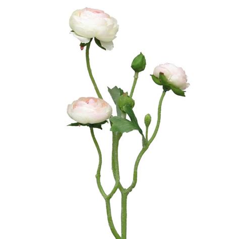 Acheter Des Fleur Artificielle Renoncule JIXIANG Blanc Rose 50cm