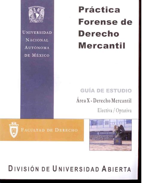 PDF Practica Forense De Derecho Mercantil Area X Derecho Mercantil