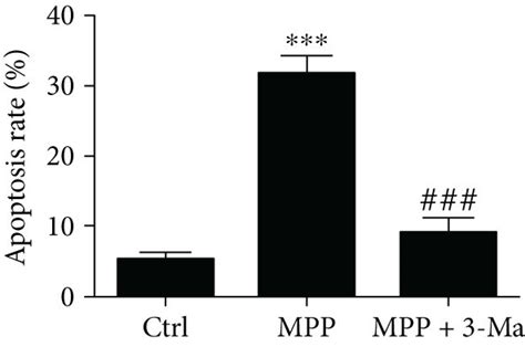 Autophagy Inhibitor 3 Ma Treatment Inhibits M Pneumonia Induced