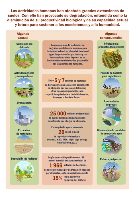 La Importancia De Cuidar Nuestros Suelos Mundo Verde