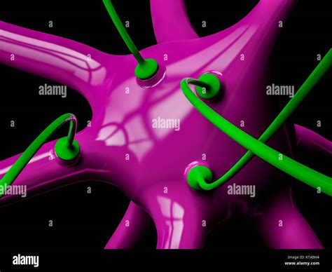Trasmissione Sinaptica Immagini E Fotografie Stock Ad Alta Risoluzione