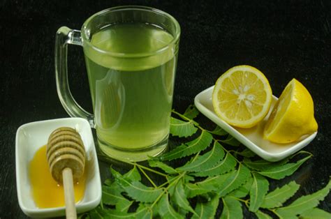 Neem Leaves Check Out Health Benefits Uses All You Need To