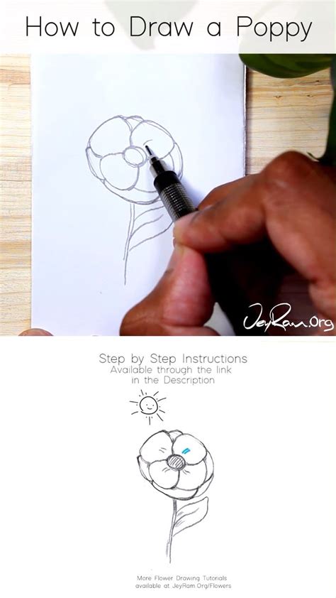 How To Draw A Poppy Flower Step By Step Drawing Word Searches