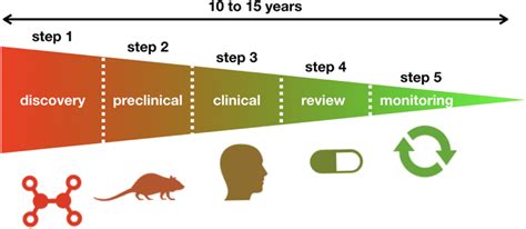 The 5 Steps From The Drug Development Process Download Scientific Diagram