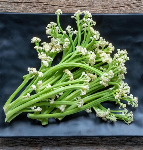Fioretto 60 Cauliflower Seeds – West Coast Seeds