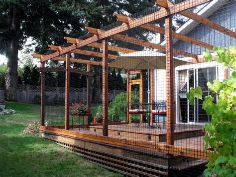 Design Your Cat's Dream Home With Patio Enclosures - Patio Designs