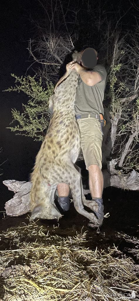 Spotted Hyena Hunting Zimbabwe | AfricaHunting.com