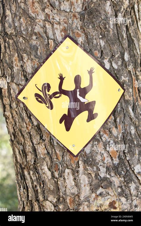 A Yellow Snake Warning Sign On A Pine Tree Trunk On The Island Of Ibiza