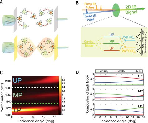 Intermolecular Vibrational Energy Transfer Enabled By Microcavity Strong Light Matter Coupling