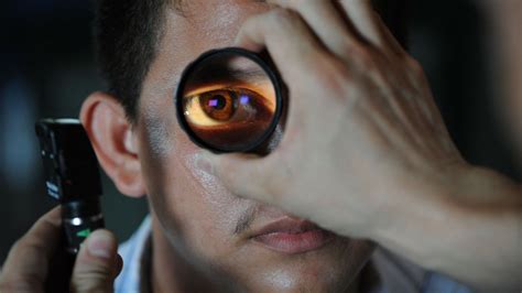 ¿cómo Prevenir El Glaucoma La Principal Causa De Ceguera Irreversible