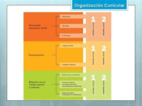 Exposición Bases Curriculares De La Educación Parvularia